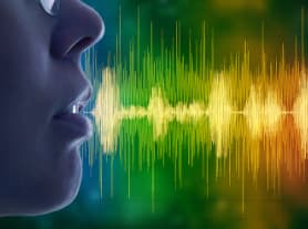 "Do You Have a Safe Word Yet?" A Call to Arms Against Deep Fake Voice Attacks