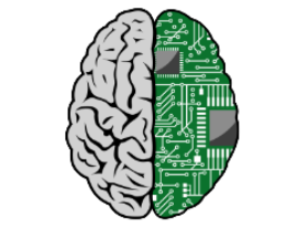Understanding the Processor: The Brain of Your Device